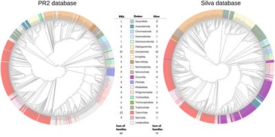 Optimising high-throughput sequencing data analysis, from gene database selection to the analysis of compositional data: a case study on tropical soil nematodes
